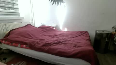 p83291869 online show from 03.03.26