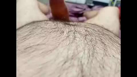 pablobear504 online show from 03.19.26