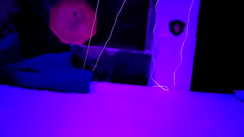 Snapshot of pablouyu chatting on 12.22.24 pablouyu online show from 12.22.24
