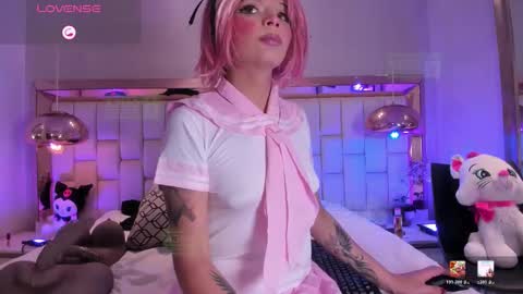 Palmer  online show from 03.13.26