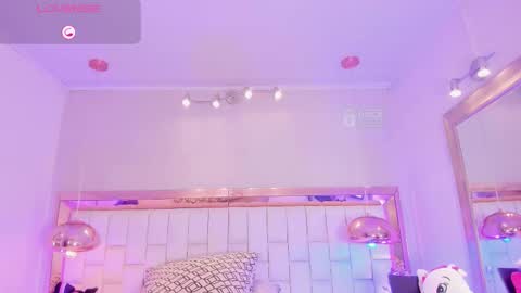 Palmer  online show from 03.17.26