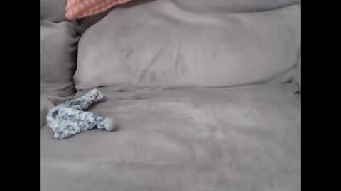 pal online show from 02.27.26