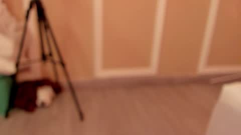 pamelamendez_1 online show from 02.27.26