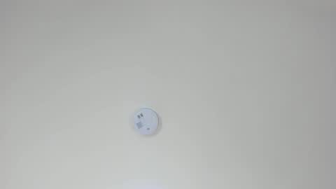 PAMELA online show from 10.23.25