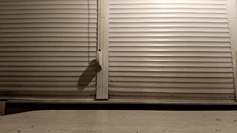 angel hris online show from 02.06.26