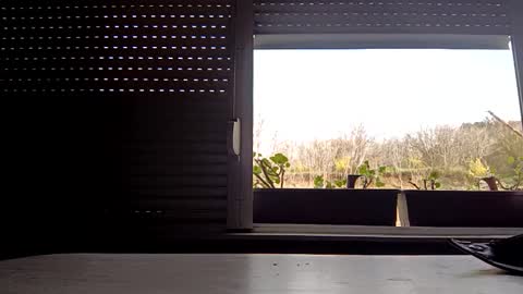 angel hris online show from 04.14.26