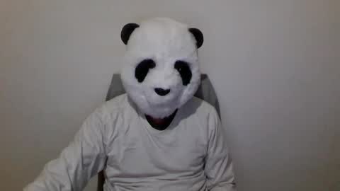 Snapshot of panda_feliz chatting on 12.06.24 Panda online show from 12.06.24