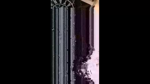 pandoraon online show from 02.18.26