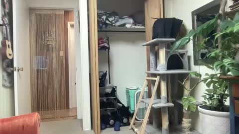 Pantiesofthefae online show from 10.13.25