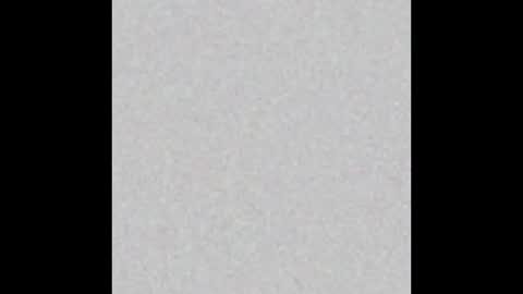 Snapshot of pantslesstraveler_plt chatting on 12.31.24 PantsLessTraveler online show from 12.31.24