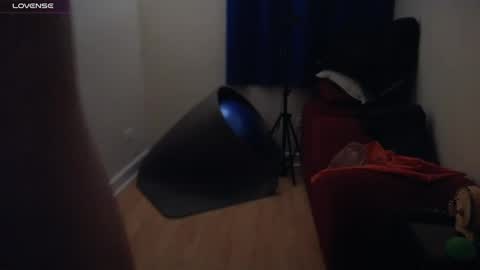 Snapshot of pantslesstraveler_plt chatting on 01.18.25 PantsLessTraveler online show from 01.18.25