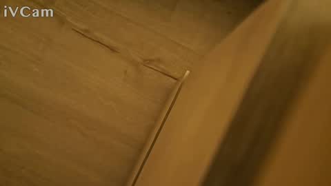 pantyhose_ggggg online show from 03.05.25