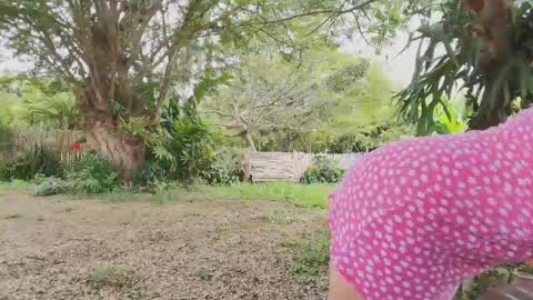 paoguerrax354 online show from 04.19.26