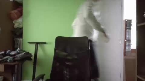 Snapshot of papitowilly999 chatting on 03.11.25 Papito online show from 03.11.25