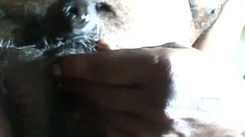 Snapshot of pappi_rambo chatting on 07.17.26 pappi_rambo online show from 07.17.26
