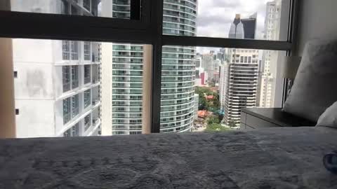 Snapshot of paradise_bird01 chatting on 03.15.26 Paradise Bird01 online show from 03.15.26