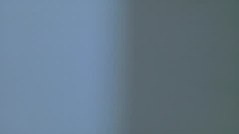 PARIS online show from 02.14.26