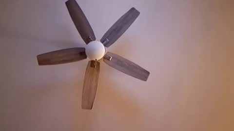 Snapshot of patrick247288 chatting on 09.17.25 patrick247288 online show from 09.17.25