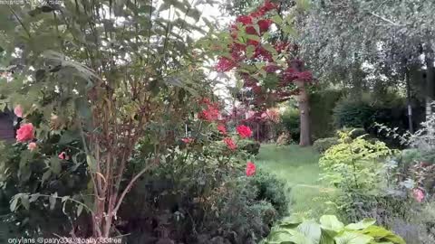 Andreea online show from 06.04.26
