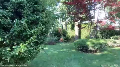Andreea online show from 06.20.26