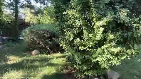 Andreea online show from 07.07.26