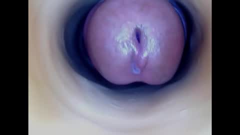 Paula 18 Aninhos online show from 02.08.26