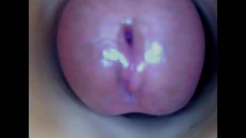Paula 18 Aninhos online show from 04.19.26