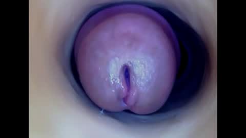 Paula 18 Aninhos online show from 04.30.26