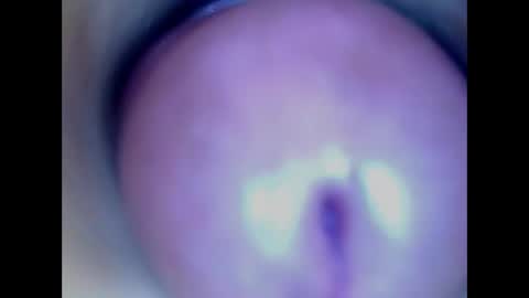Paula 18 Aninhos online show from 05.18.26