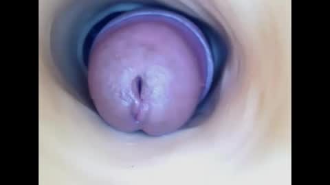 Paula 18 Aninhos online show from 05.18.26