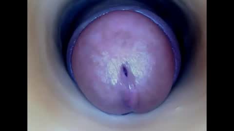 Paula 18 Aninhos online show from 05.22.26