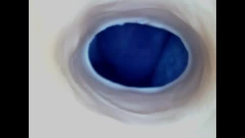 Paula 18 Aninhos online show from 06.14.26