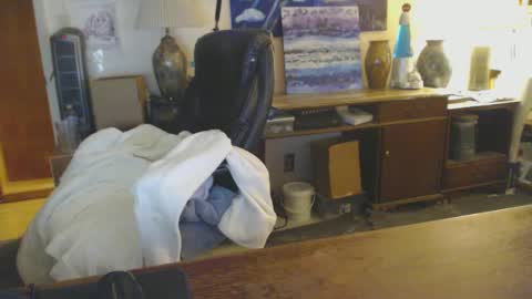 Snapshot of paulleroy chatting on 01.25.25 paulleroy online show from 01.25.25