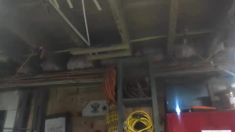 paulstetson online show from 12.20.24