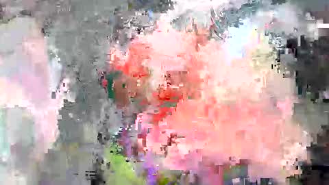 paulymcdona online show from 04.10.26