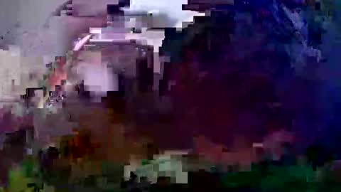 Snapshot of pay2playangel12 chatting on 12.21.24 Coco channel online show from 12.21.24