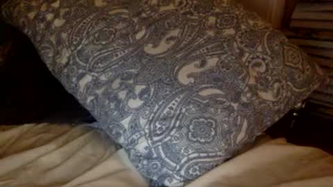 pea23 online show from 02.27.26