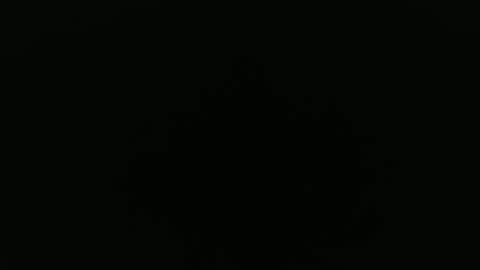 Snapshot of peavsters chatting on 09.24.25 Alex online show from 09.24.25