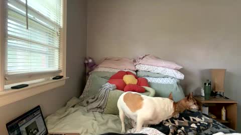 Snapshot of pegggggysue69 chatting on 03.20.26 pegggggysue69 online show from 03.20.26