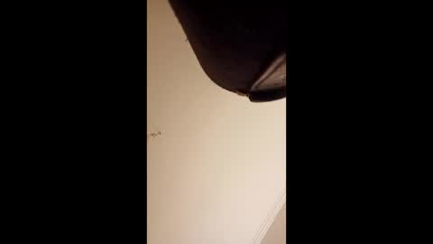 pelekenone online show from 04.01.26