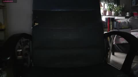 peregrintpelfox online show from 02.04.26