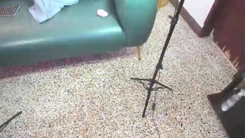 Snapshot of peter_chase chatting on 02.21.26 Peter online show from 02.21.26