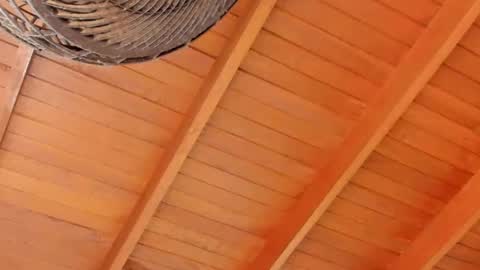 peter jackson1 online show from 12.04.24