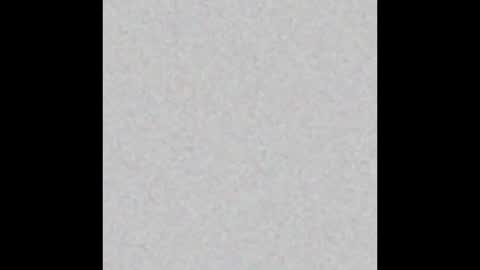 Maximus online show from 02.16.25