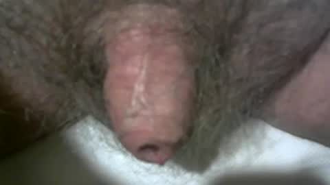 peterpeteropoulos online show from 02.07.25