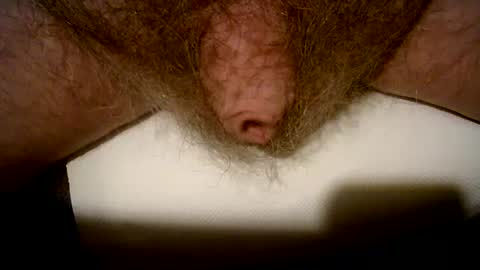 peterpeteropoulos online show from 02.14.25