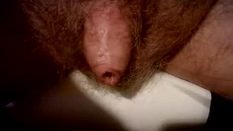 peterpeteropoulos online show from 02.20.25