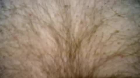 peterpeteropoulos online show from 02.27.25