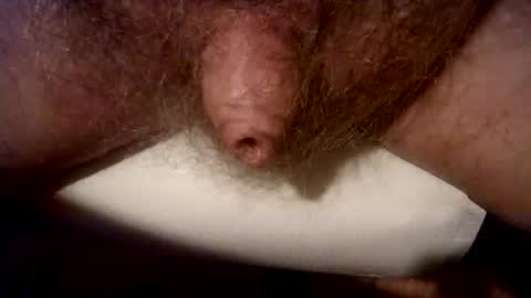 peterpeteropoulos online show from 03.03.25