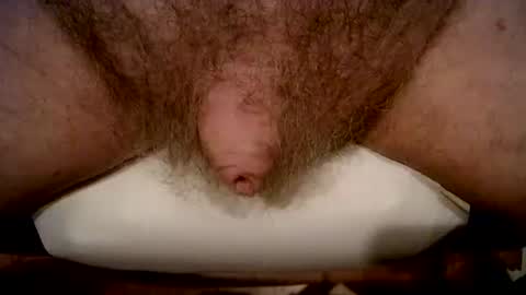 Snapshot of peterpeteropoulos chatting on 02.21.26 peterpeteropoulos online show from 02.21.26